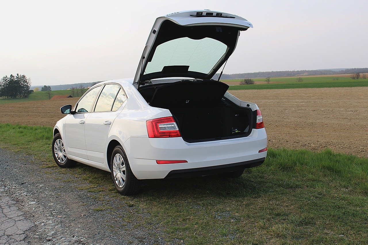 Trunk Won't Open? What To Do When You Are Locked Out Of Your Trunk - How to  Become a Locksmith